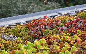 the cost of Waun Lwyd green roof installation