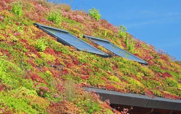 Waun Lwyd living roof systems