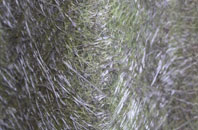 Waun Lwyd fibreglass roof work